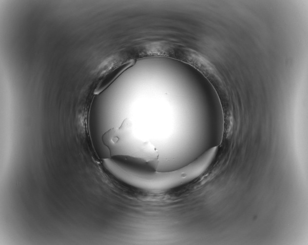 X0000086950329200704301223