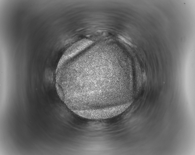 X0000086950331200704301222