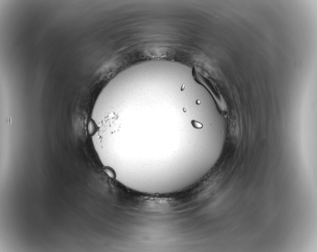 X0000086950332200704301222