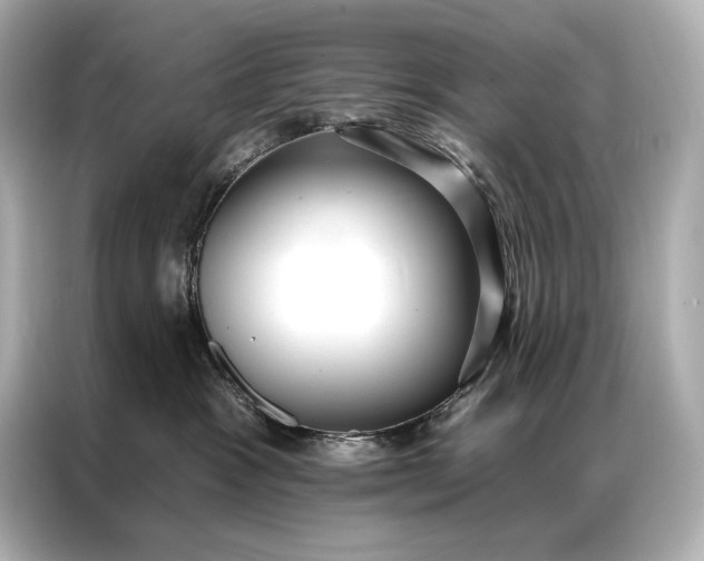 X0000086950333200704301222