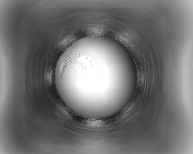 X0000086950334200704301222