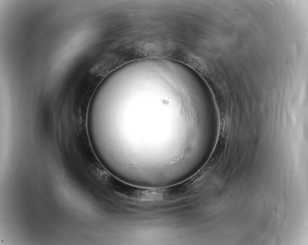 X0000086950335200704301222