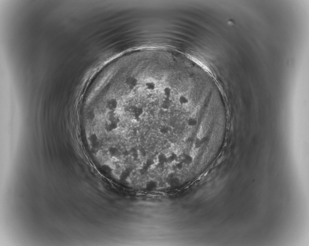 X0000086950337200704301222