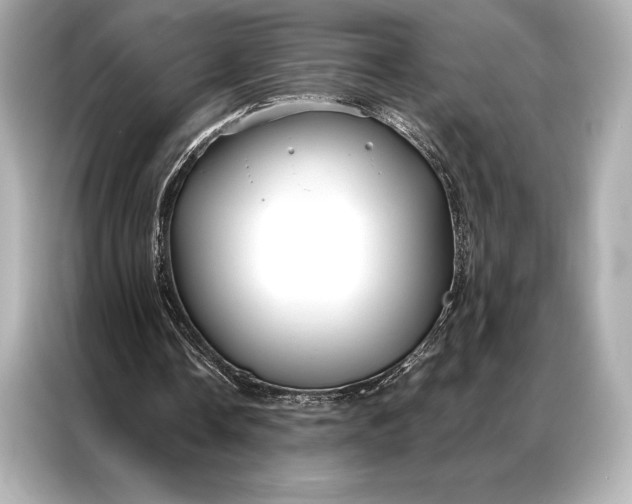 X0000086950338200704301222