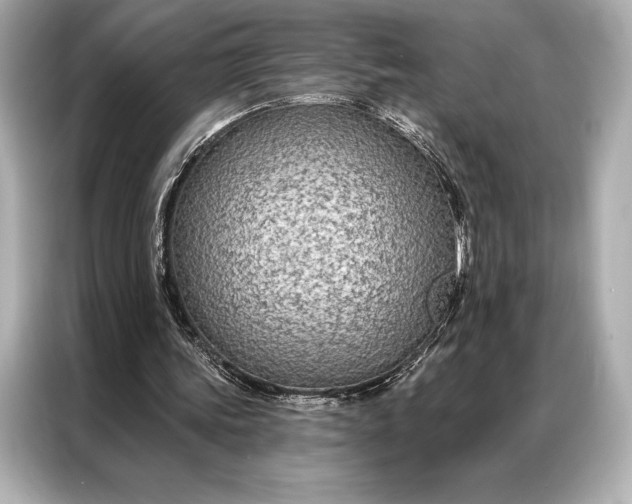 X0000086950339200704301222