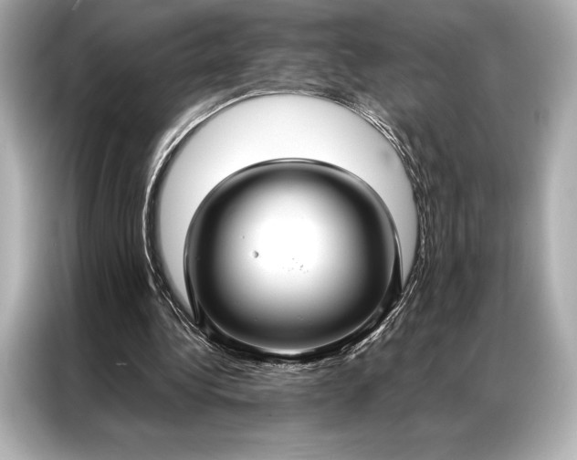 X0000086950340200704301222