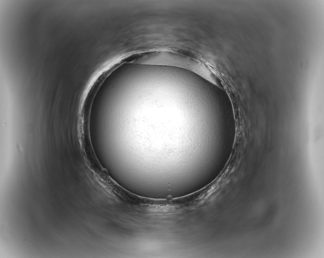 X0000086950342200704301222