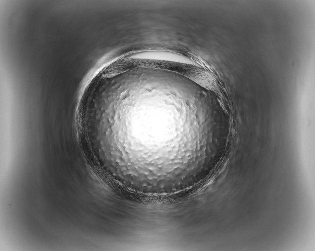 X0000086950343200704301222