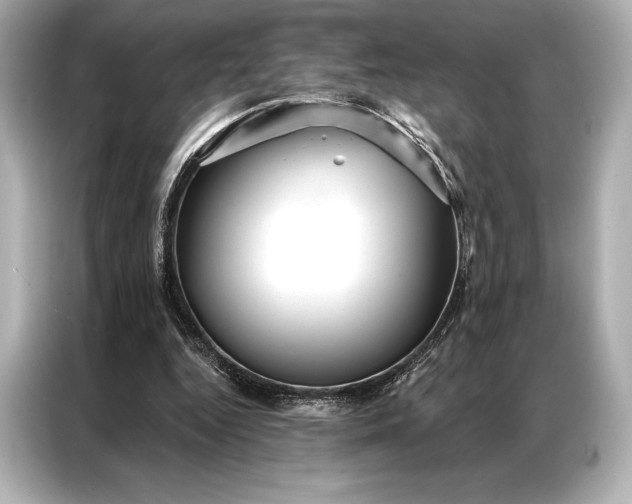 X0000086950344200704301222