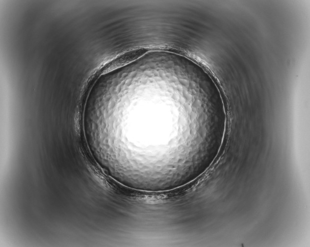 X0000086950345200704301222