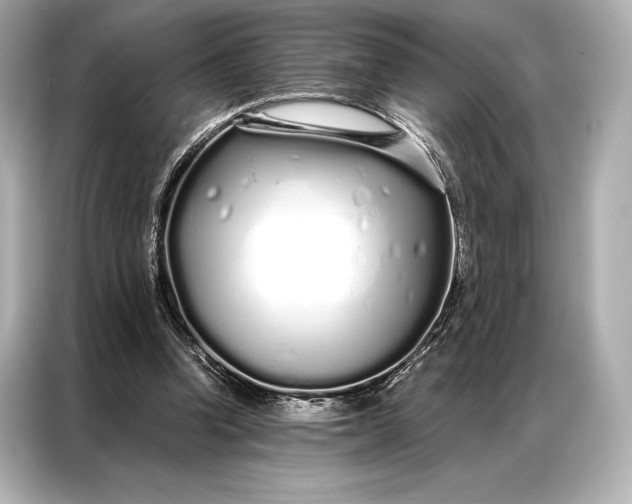 X0000086950346200704301222