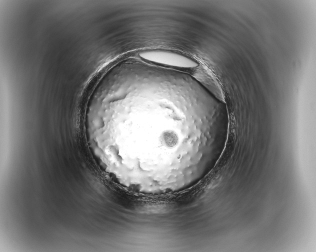 X0000086950347200704301222