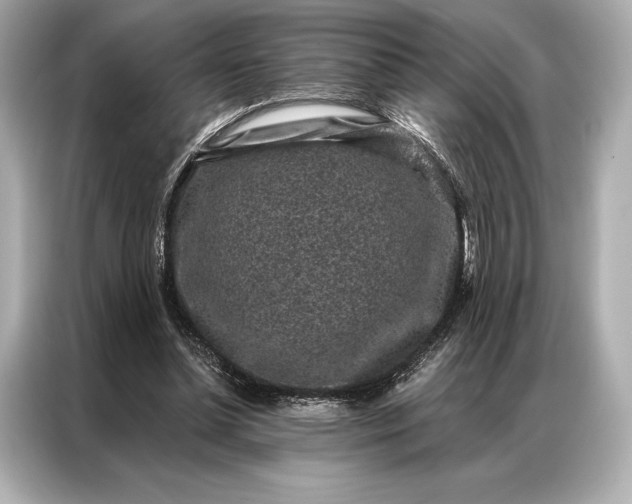 X0000086950348200704301222