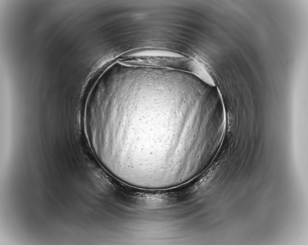 X0000086950349200704301222