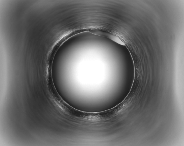 X0000086950350200704301222