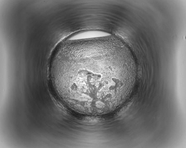 X0000086950351200704301222