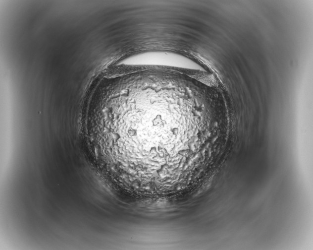 X0000086950353200704301222