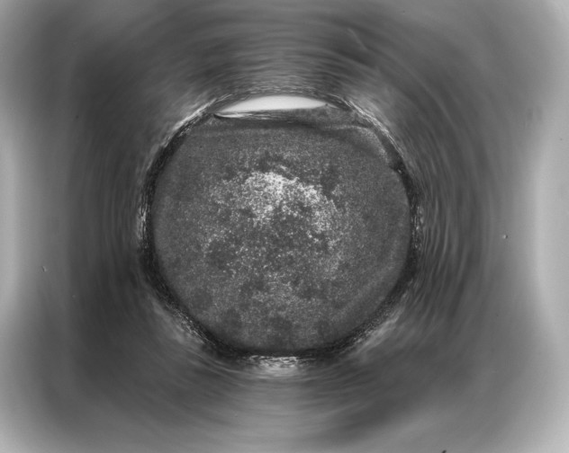 X0000086950355200704301222