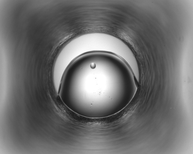 X0000086950356200704301222