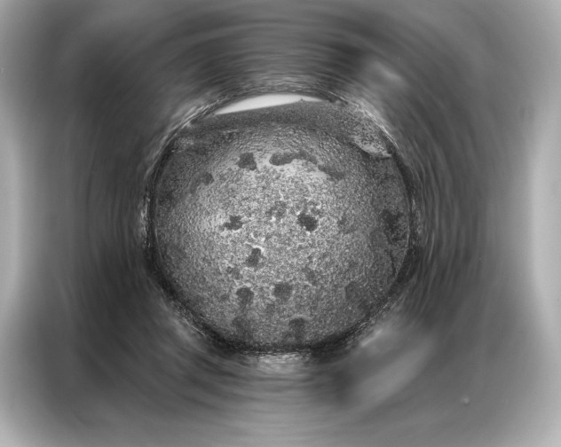 X0000086950357200704301222