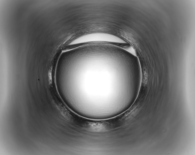 X0000086950358200704301222