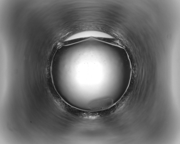 X0000086950359200704301222