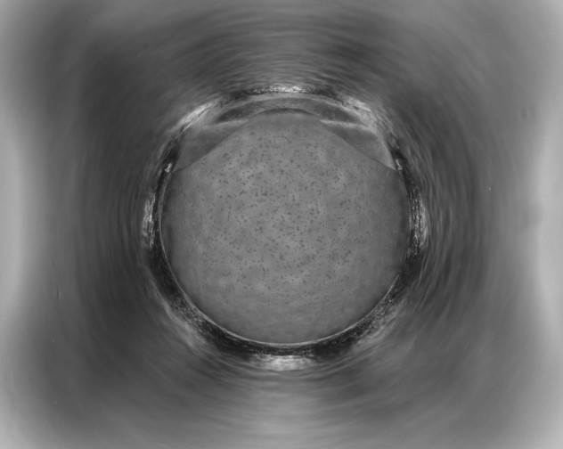 X0000086950360200704301222