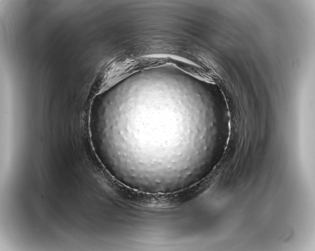 X0000086950361200704301222