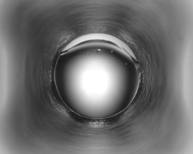 X0000086950362200704301222