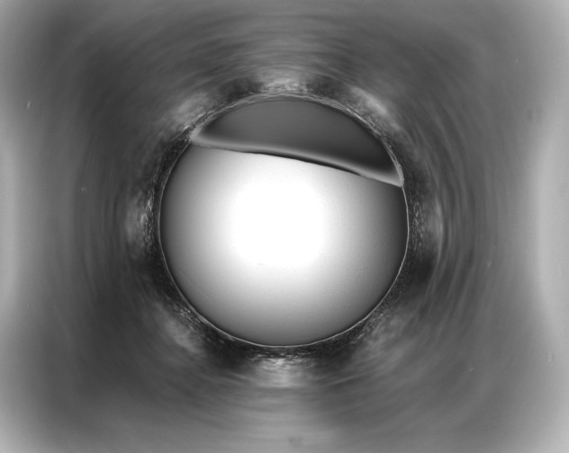 X0000086950364200704301222