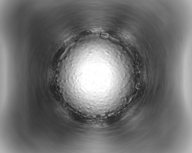 X0000086950367200704301222