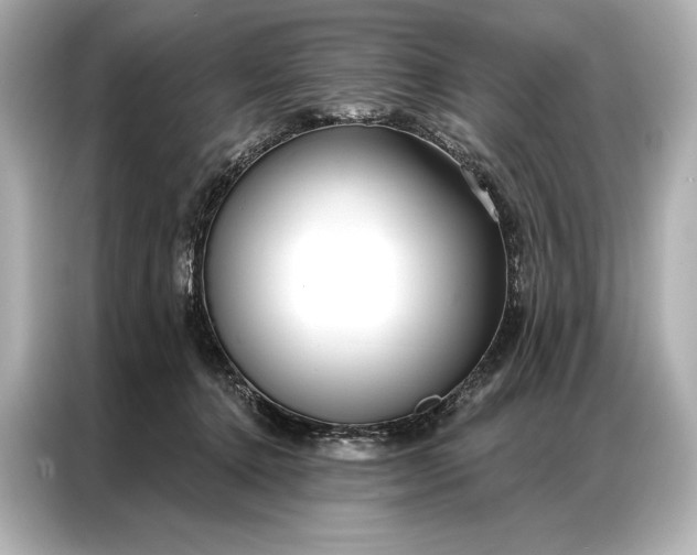 X0000086950368200704301222