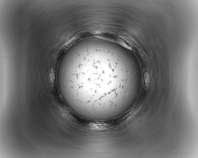 X0000086950372200704301222