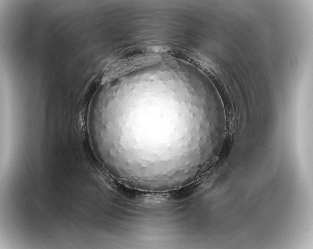 X0000086950373200704301222