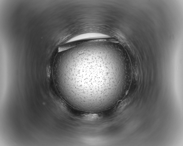 X0000086950374200704301222