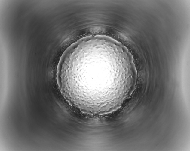 X0000086950375200704301222