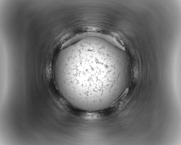 X0000086950376200704301222