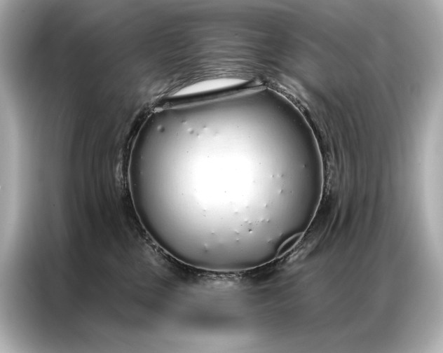 X0000086950377200704301222