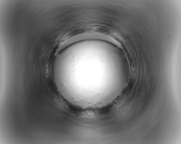 X0000086950381200704301222