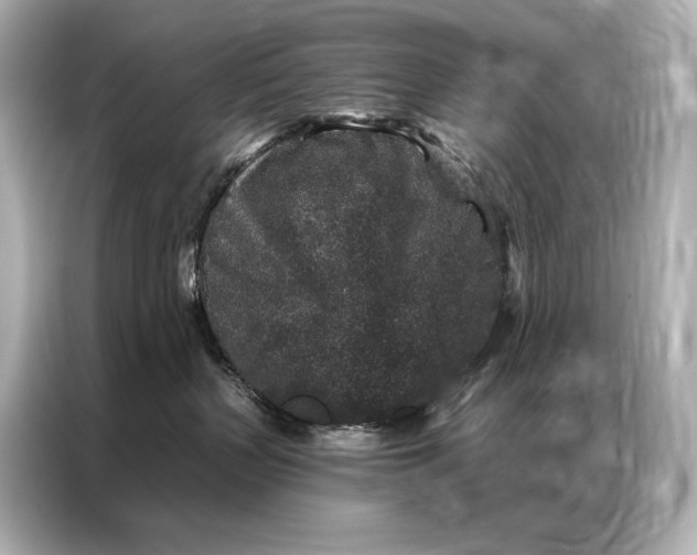 X0000086950383200704301222