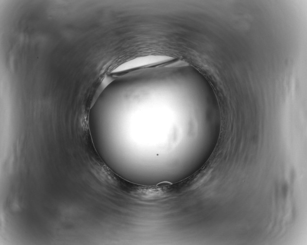 X0000086950384200704301222