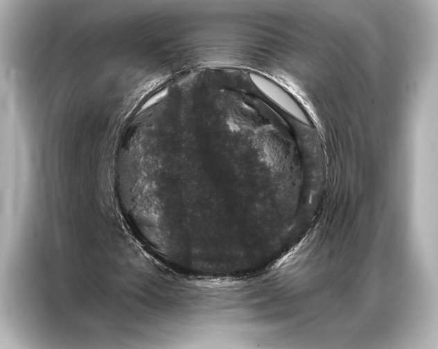 X0000086950385200704301222