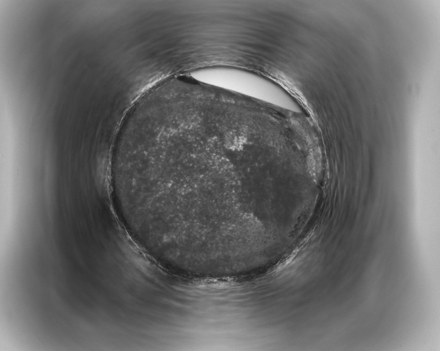 X0000086950386200704301222