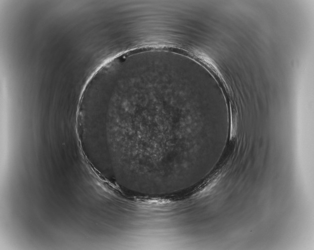 X0000086950387200704301222