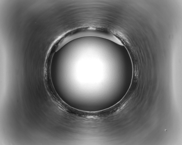 X0000086950388200704301222