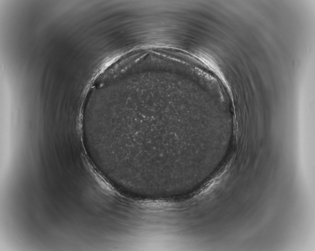 X0000086950389200704301222