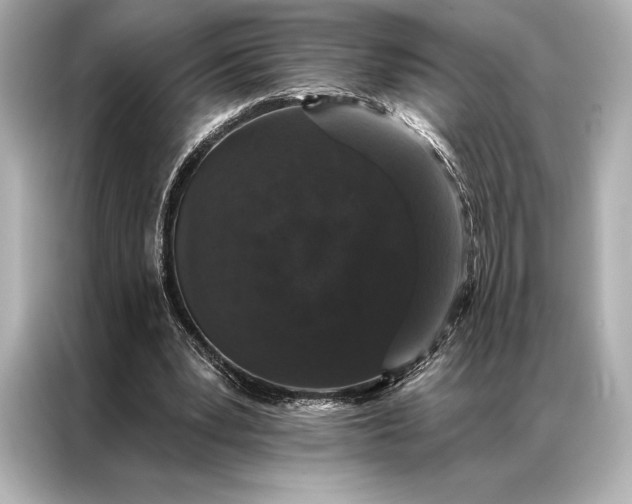 X0000086950391200704301222