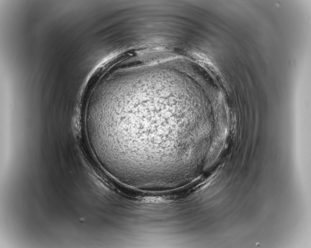 X0000086950392200704301222