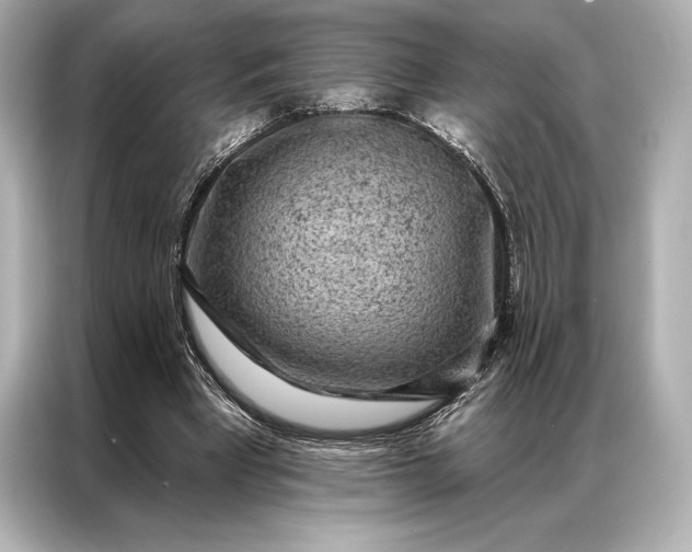 X0000086950393200704301222