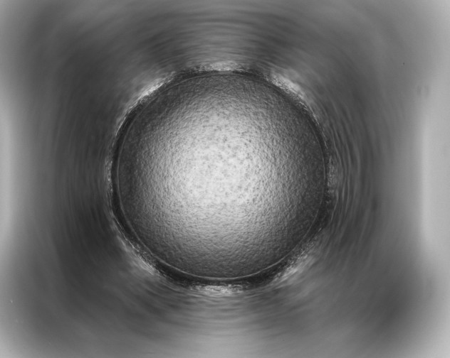 X0000086950394200704301222